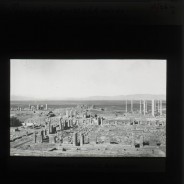 Böhl glass slide 32./2614b